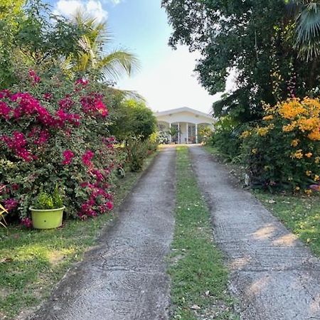 לה מול Jardin Des Anges-Bungalows Creoles Et Studio מראה חיצוני תמונה