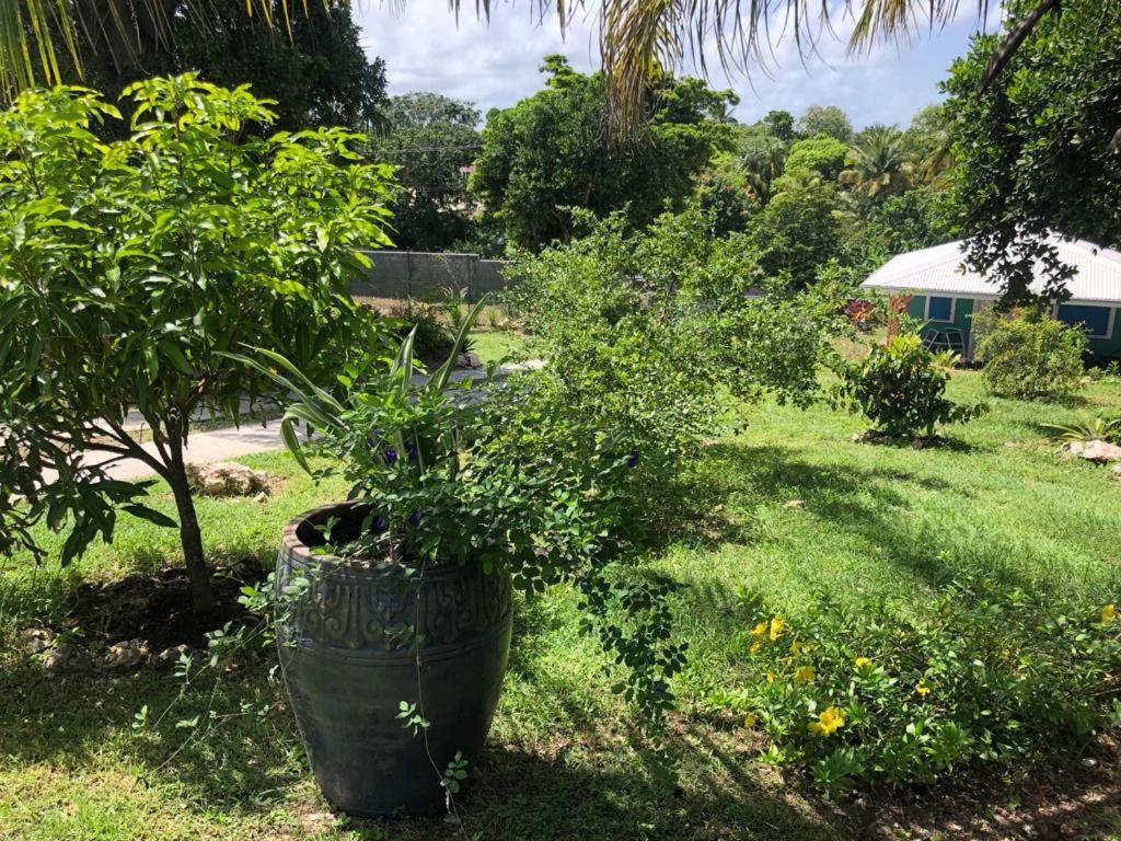 לה מול Jardin Des Anges-Bungalows Creoles Et Studio מראה חיצוני תמונה