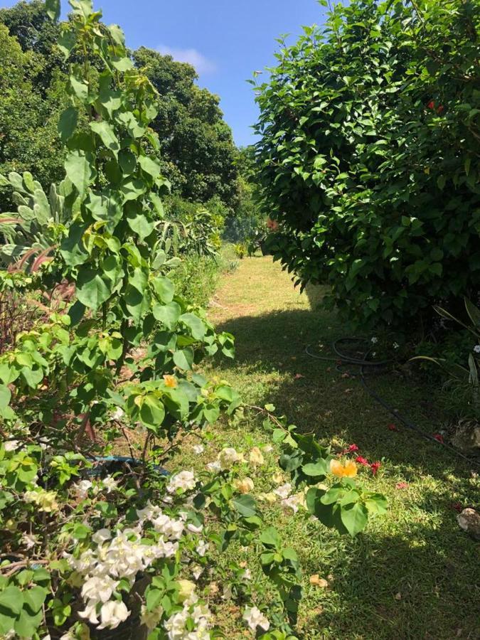 לה מול Jardin Des Anges-Bungalows Creoles Et Studio מראה חיצוני תמונה