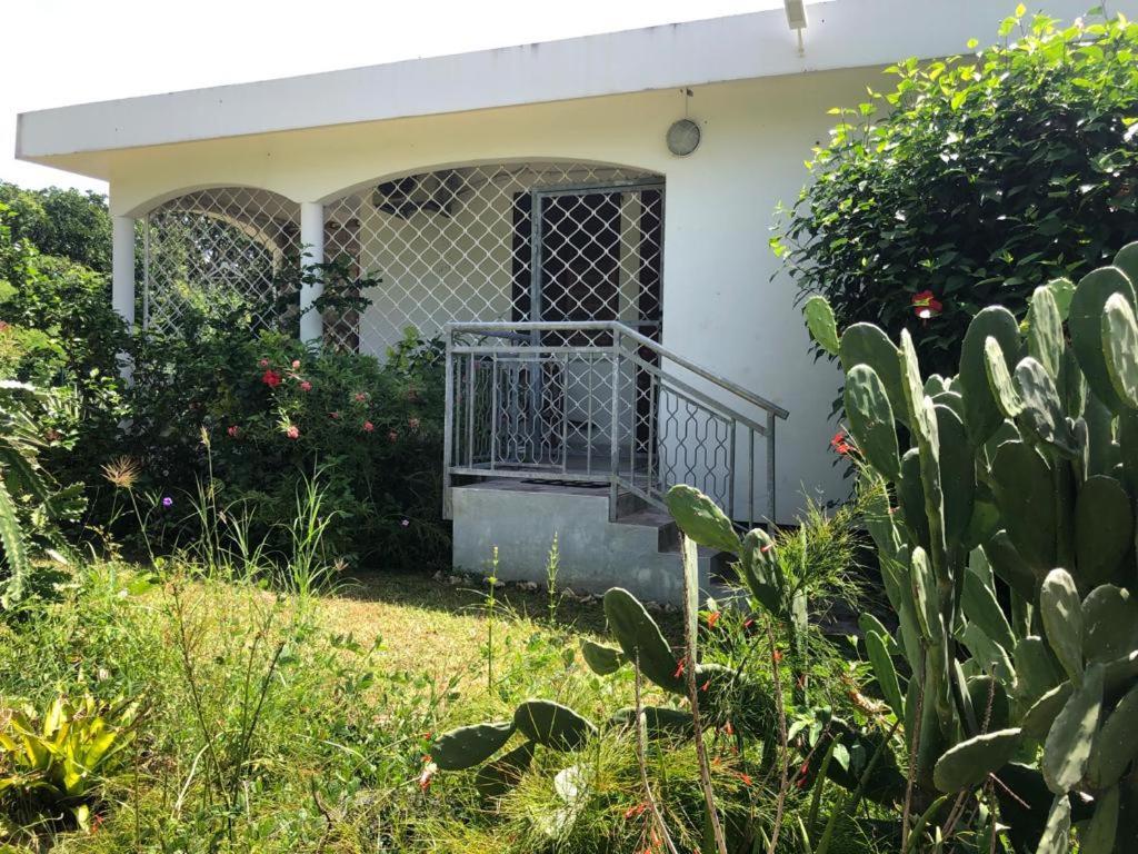 לה מול Jardin Des Anges-Bungalows Creoles Et Studio מראה חיצוני תמונה