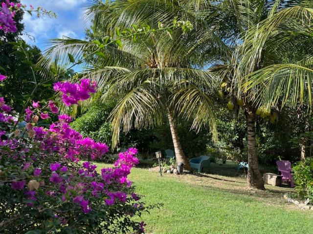 לה מול Jardin Des Anges-Bungalows Creoles Et Studio מראה חיצוני תמונה