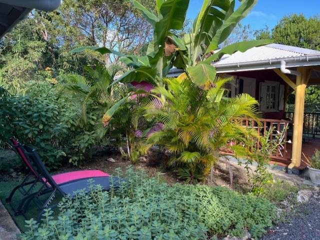 לה מול Jardin Des Anges-Bungalows Creoles Et Studio מראה חיצוני תמונה