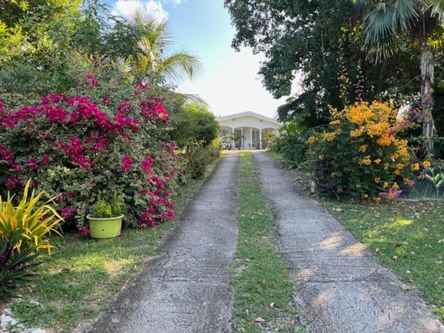 לה מול Jardin Des Anges-Bungalows Creoles Et Studio מראה חיצוני תמונה